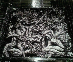 Analectomy : Promo 2017